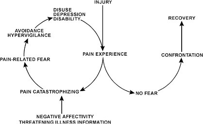 the fear avoidance model