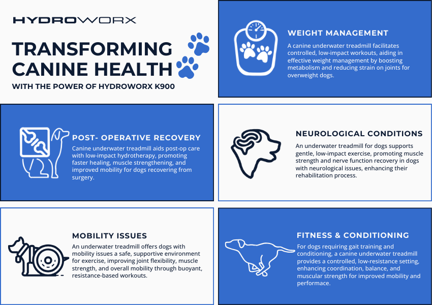 The image is an infographic by HydroWorx showcasing the benefits of the K900 underwater treadmill for dogs. It highlights the device's impact on canine health, including post-operative recovery, weight management, mobility issues, neurological conditions, and fitness & conditioning. Each benefit is paired with an icon illustrating the specific use case.