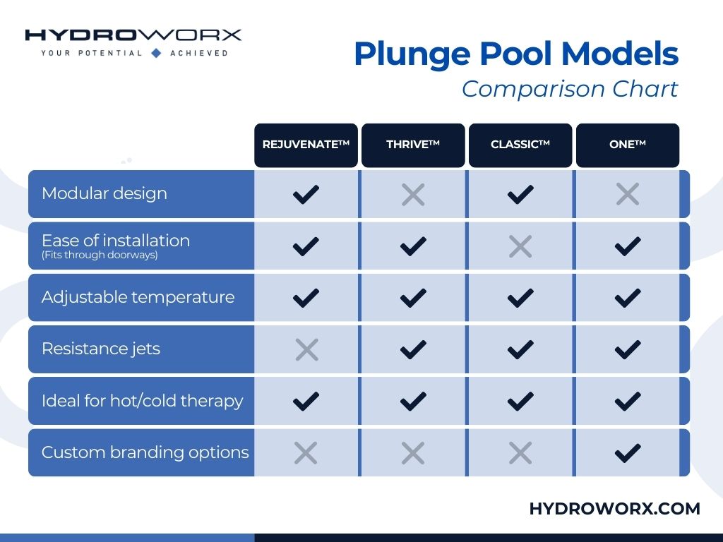 Plunge Pool Models Comparison Chart infographic